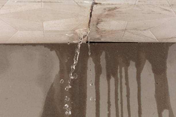 Professional Flood Damage Cleanup technician working in Pigeon, MI